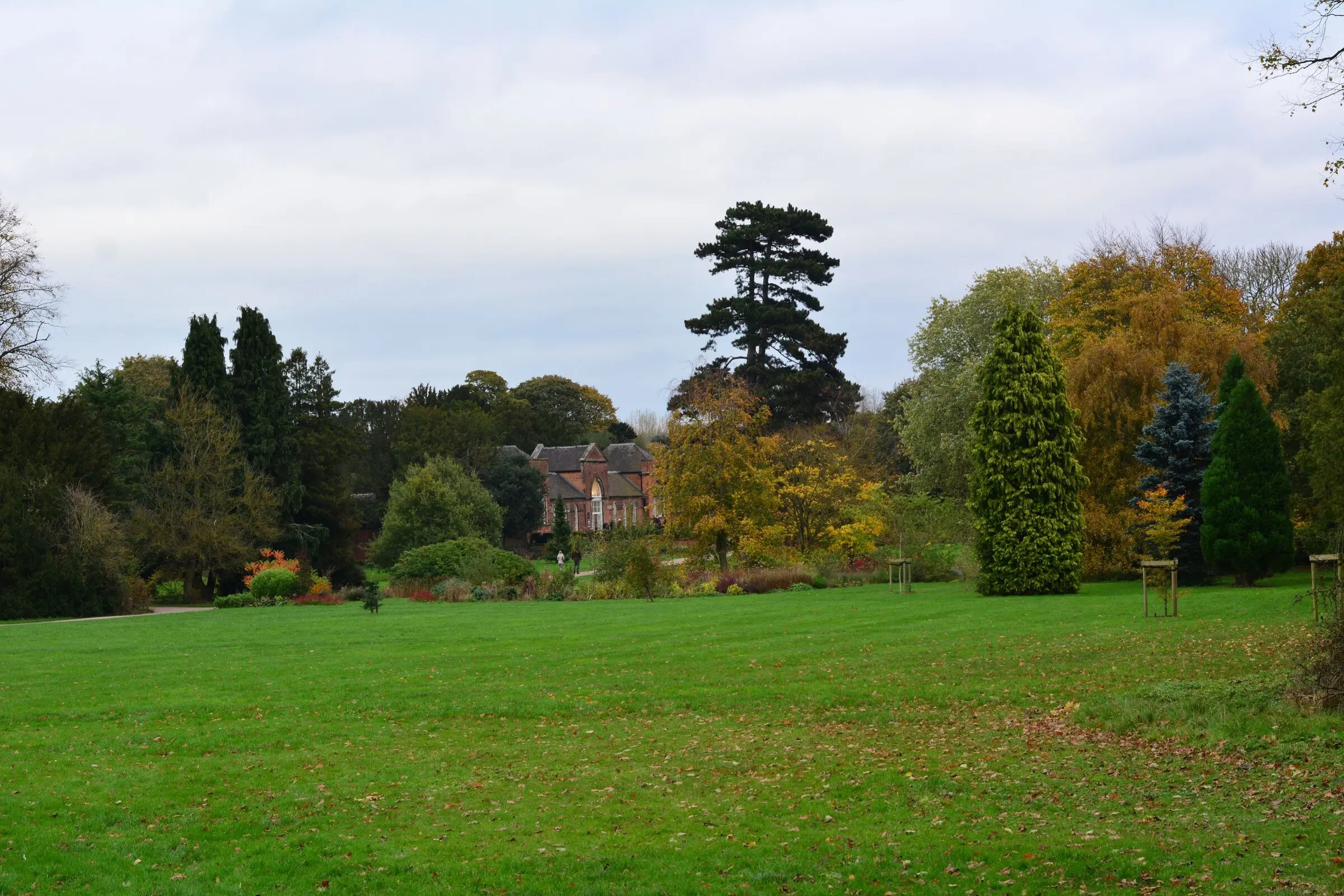 Open mown parkland with mature specimen trees in autumn under an overcast sky
